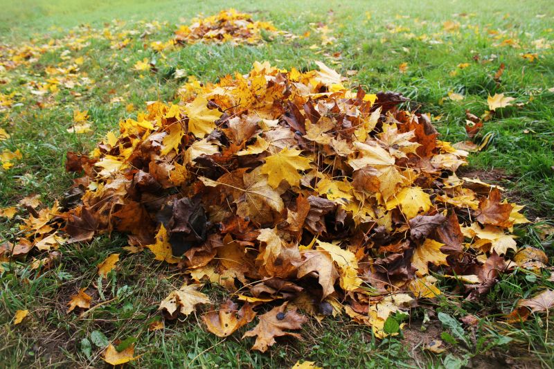 Lawn with Mulched Leaves