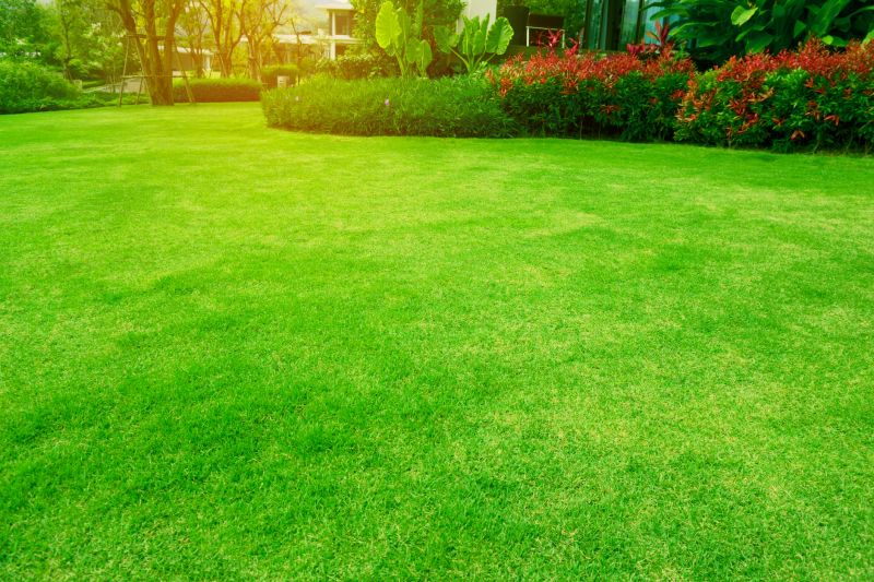 Lawn Repair