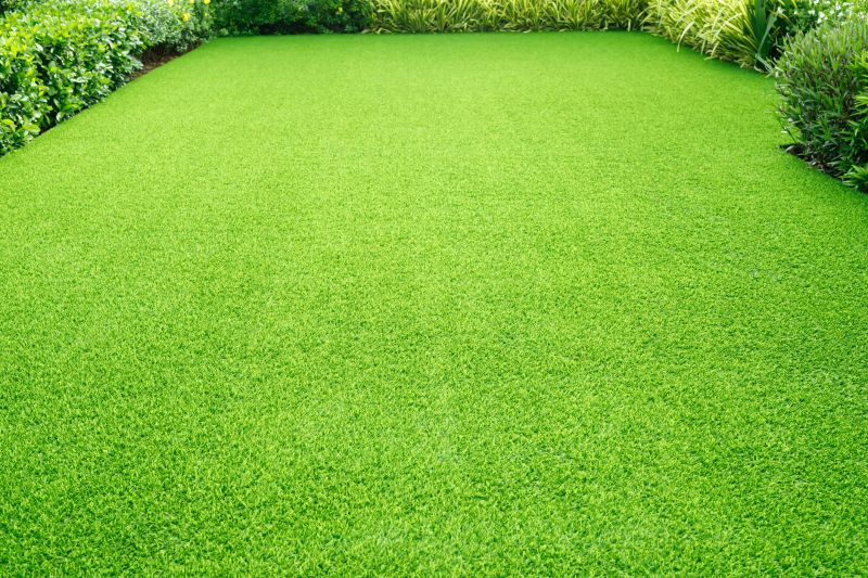 Healthy Lawn